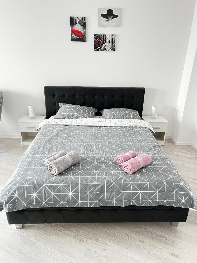 Apartment Mara 2 蒂米什瓦拉 外观 照片