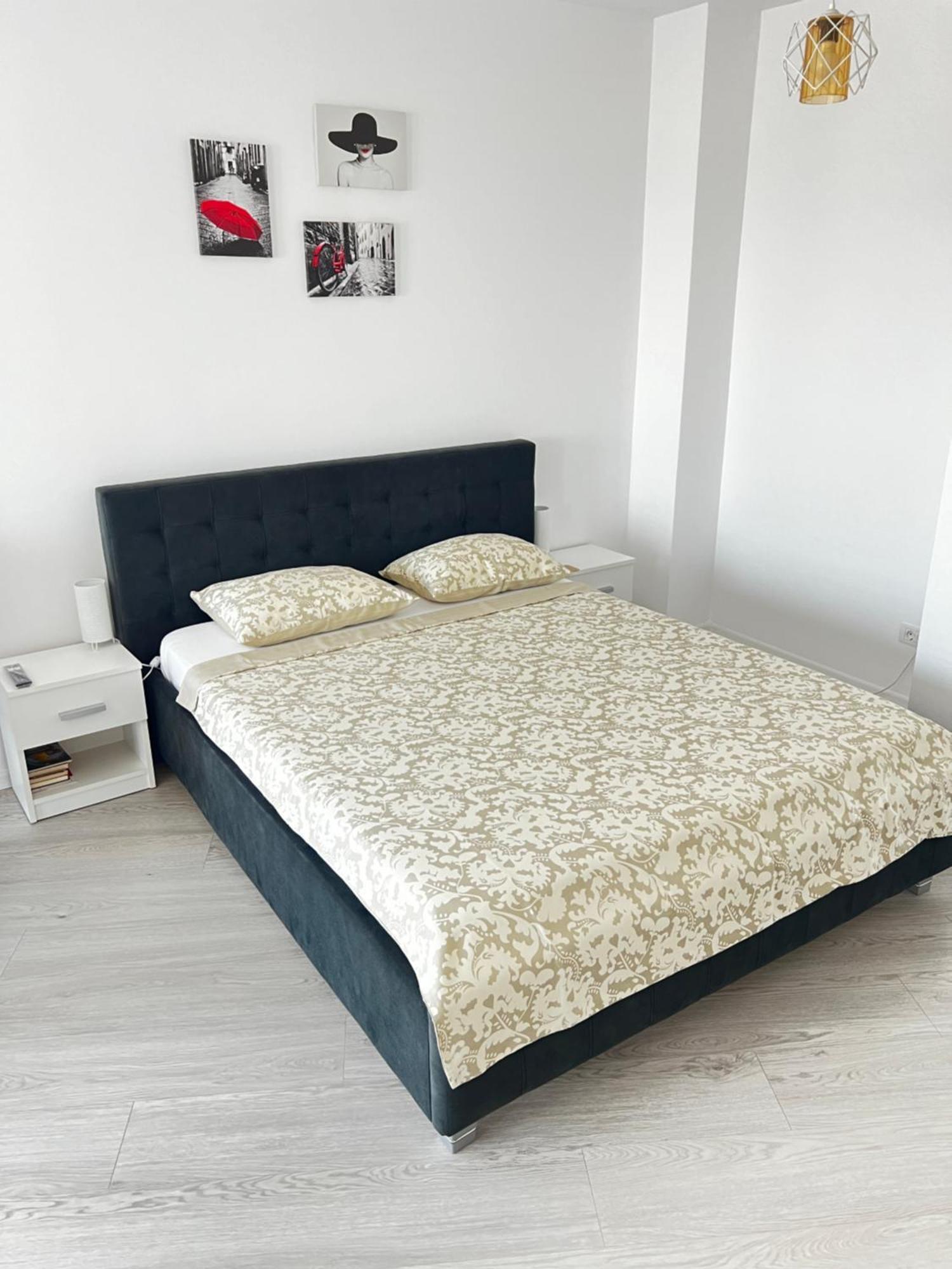 Apartment Mara 2 蒂米什瓦拉 外观 照片